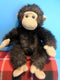 Tri Russ Target Chimp with Red Heart and Small Monkey Beanbag Plush