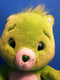 JAKKS Pacific Play Along Care Bears Green Oopsy Bear 2007 Plush