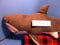 Rhode Island Novelty RI Great White Shark Plush