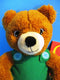 Kohl's Cares Corduroy the Teddy Bear Plush and Book