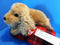Ty Classic Charlie the Cocker Spaniel 1995 Beanbag Plush