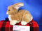 Russ Bruin Tan and White Dutch Bunny Rabbit Plush