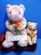 Ty Beanie Buddy and Baby Bloom the Flower Bear 2003 Beanbag Plushes