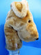 Daphne Yellow Lab Golf Club Cover