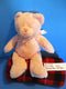 Baby Ganz Pink Blessings Teddy Bear Plush