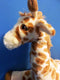 Kohl's Cares Nancy Tillman I'd Know You Anywhere My Love Giraffe Plush