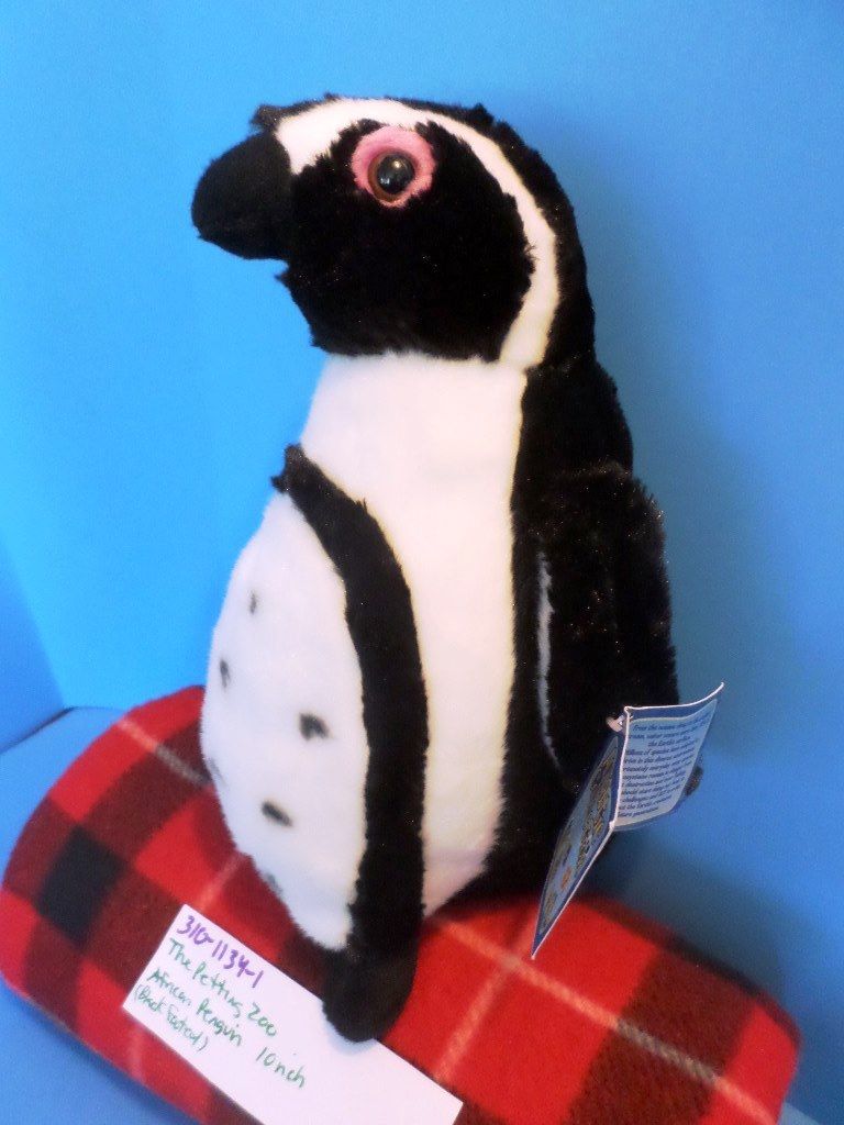 The Petting Zoo African Penguin Plush