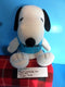 Peanuts Worldwide Snoopy Valley Fair 2010 Plush