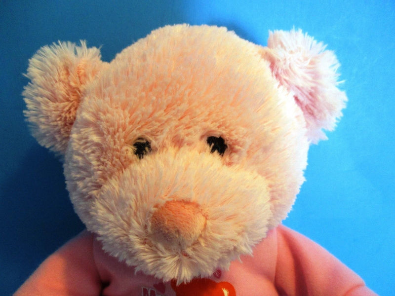 Baby Gund My First Teddy Prayer Pink Bear Plush