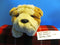 FAO Schwarz Bulldog Puppy Dog Beanbag Plush