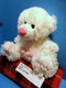 Caltoy Hug Me White and Pink Teddy Bear Plush