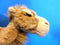 Aurora Wildbeasts Global Conservation Oasis Dromedary Camel Plush