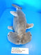 The Petting Zoo Hammerhead Shark Beanbag Plush