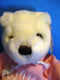Herrington Bears Collegiate Collection UMD White Bear Beanbag Plush