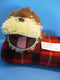 Zoomworks Baby Stuffies Bravo the Brown Bull Beanbag Plush