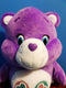 Care Bears Singing Purple Share Bear 2015 Plush