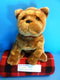 Ty Classic Shantou the Shar Pei 2004 Beanbag Plush