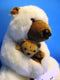 Dakin White Bear With Brown Baby Bear Plush