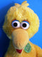 Build-A-Bear Big Bird with Red Jacket and Pin 2006 Plush