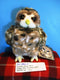 Stuffed Animal House Spotted Owl Beanbag Plush