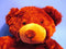 Unipak Brown Bear Plush Backpack
