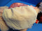 Charming Toys Pink Poodle Plush Bag Purse