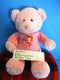 Baby Gund My First Teddy Prayer Pink Bear Plush