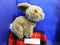 Pier 1 Brown Bunny Rabbit Plush