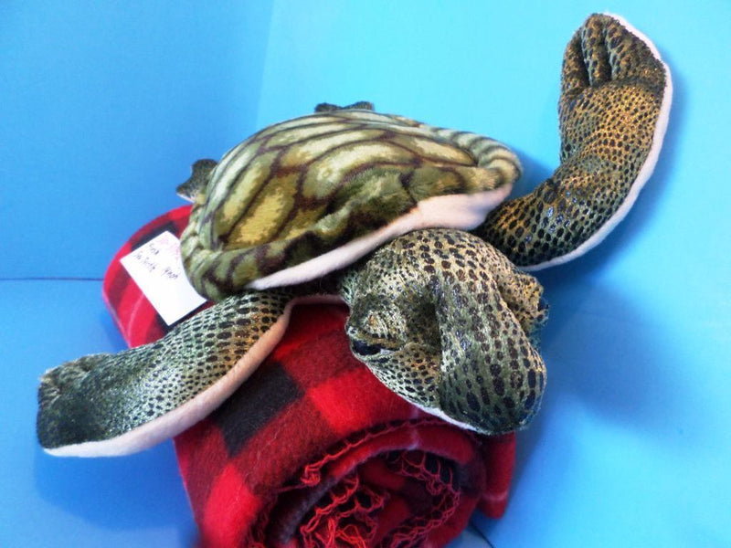 Fiesta Green Sea Turtle Plush