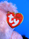 Ty Classic Isabella Pink Teddy Bear 2010 Beanbag Plush