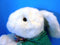 Commonwealth Target Peter Cottontail Easter Bunny 1995 Plush