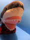 Rhode Island Novelty RI Great White Shark Plush