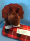 Kohl's Cares How Do Dinosaurs Say Goodnight Triceratops Plush