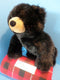 Wishpets Molly the Black Bear 2000 Plush