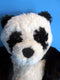 Kohl's Cares Nancy Tillman It's Time To Sleep My Love Panda Beanbag Plush