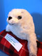 Wildlife Artists White Harp Seal Pup Plush