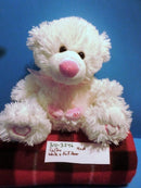 Caltoy Hug Me White and Pink Teddy Bear Plush
