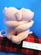 Fiesta Pals Hugging Oinking Pink Pigs Beanbag Plush