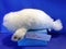 K & M White Harp Seal Pup 2003 Plush