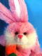 Chrisha Playful Plush Pink and White Bunny Rabbit with Carrot 2009 Plush