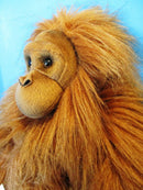Aurora Miyoni Orangutan Plush