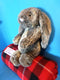Jellycat Woodland Bunny Rabbit Beanbag Plush