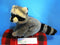 Aurora Nature Babies Raccoon Beanbag Plush