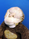 Commonwealth Brown and White Capuchin Monkey 2000 Plush