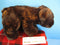 Dan Dee Collectors Choice Dark Brown Bear Beanbag Plush