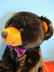 Ben Bridge Benny the Black Bear With Purple Bow 2015 Beanbag Plush