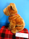 Ty Classic Shantou the Shar Pei 2004 Beanbag Plush