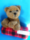 24K Polar Puff Special Effects Brown Bear Greyson 1993 Plush