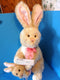 E & J Classics Tan Bunny Rabbit with Basket Plush