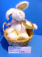 Boyd's Bears Allison B. Hopplebuns Hoppy Easter White Bunny Rabbit in a Basket 2004 Plush